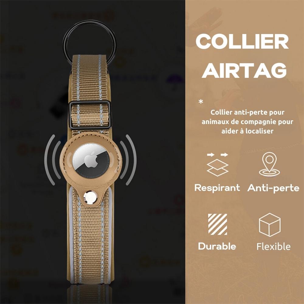 GeoPet - Le collier de chien anti-perte